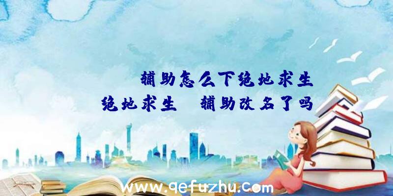 「x.x.s辅助怎么下绝地求生」|绝地求生ez辅助改名了吗